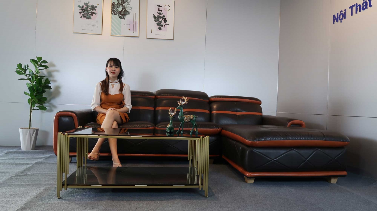 So sánh sofa nhập khẩu và sofa trong nước