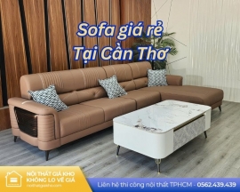 Mua ghế sofa phòng khách tại Cần Thơ