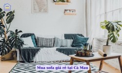 Mua sofa giá rẻ tại Cà Mau