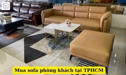 Mua sofa phòng khách tại Tphcm