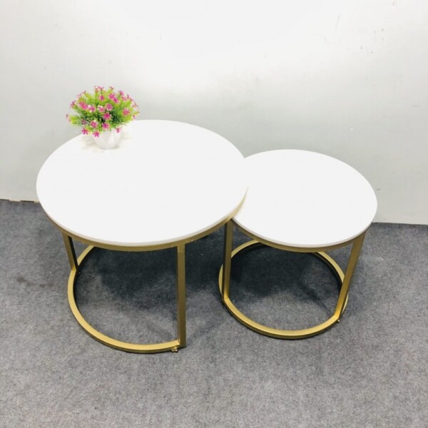 Bàn sofa tròn đôi TL108