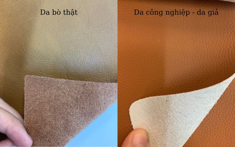 Các loại sofa da trên thị trường