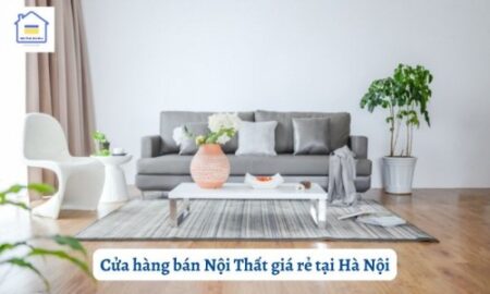cua hang ban noi that gia re tai ha noi 482 1