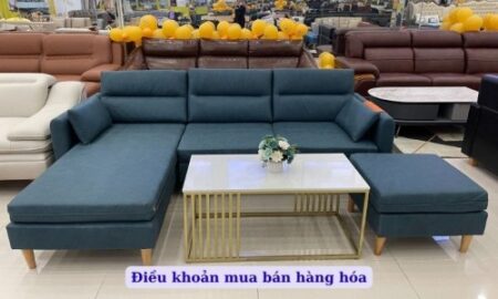 dieu khoan mua ban hang hoa 785 1