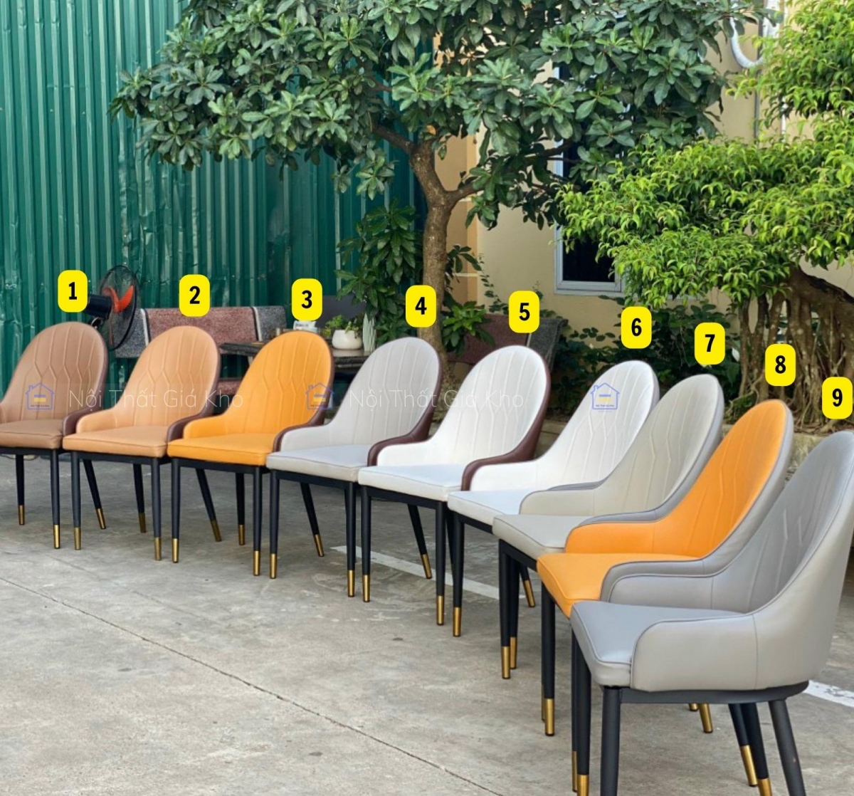 Ghế ăn nhập khẩu Monet tay