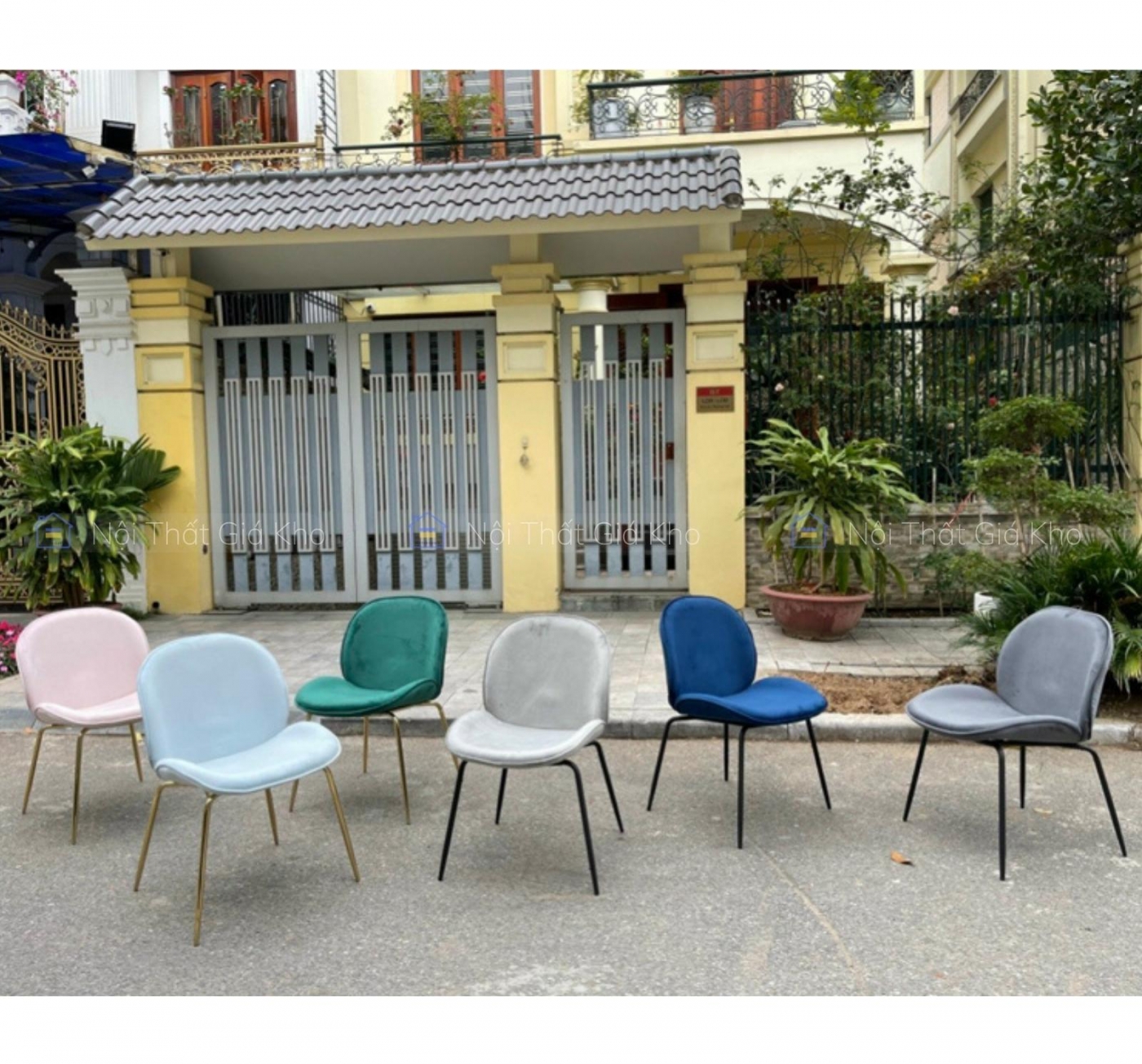 Ghế Gubi chân vàng