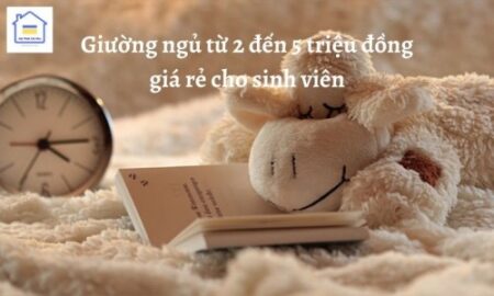 giuong ngu tu 2 den 5 trieu dong gia re cho sinh vien 309 1