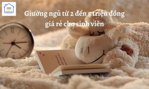 giuong ngu tu 2 den 5 trieu dong gia re cho sinh vien 309 1