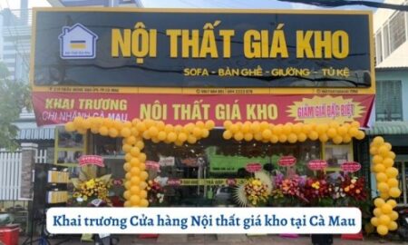 khai truong cua hang noi that gia kho tai ca mau 627 1