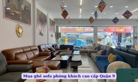 mua ghe sofa phong khach cao cap quan 9 798 1