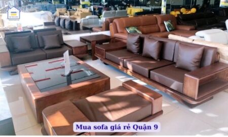 mua sofa gia re tai quan 9 792 1