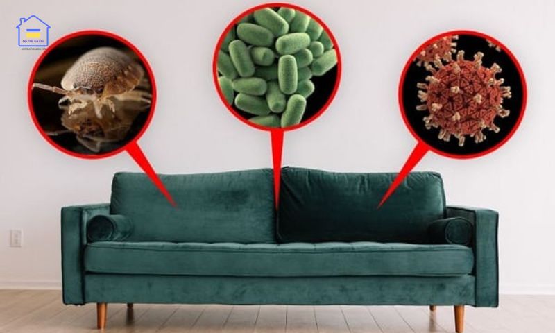 Nên mua sofa giá rẻ hay giá cao?