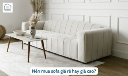 nen mua sofa gia re hay gia cao 741 1