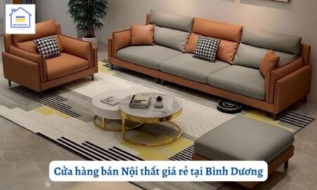noi that gia re tai binh duong 621 1