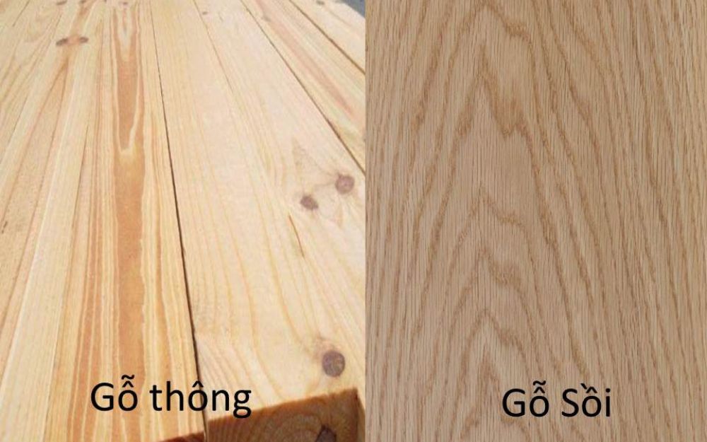 Phân Biệt Gỗ Sồi và Gỗ Thông