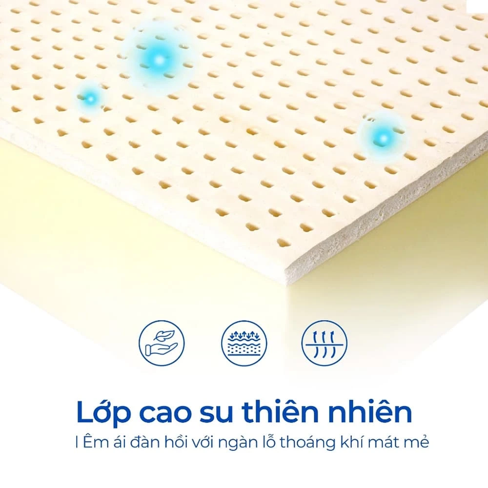 Nệm lò xo Aroma Cool Coil Premium Latex