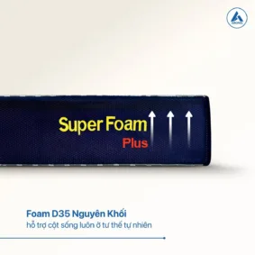 Nệm Aroma Super Foam Plus
