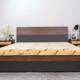 Nệm cao su Ikool 9 massage latex