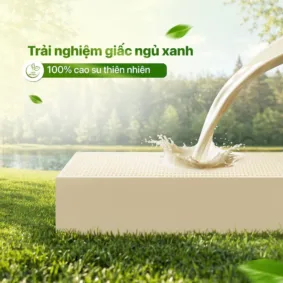 Alternative view of Nệm Cao Su Thiên Nhiên Aroma Organic