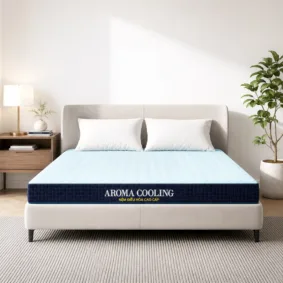 Nệm Foam Aroma Cooling